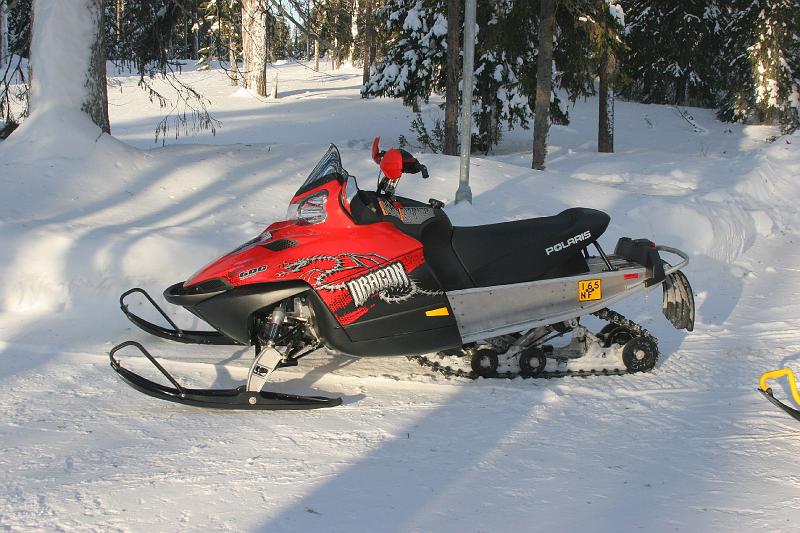 07 Polaris Dragon.jpg